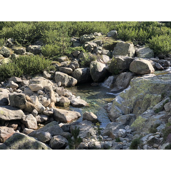 รูปถ่าย ฝรั่งเศส(France) คอร์สิคา(Corsica) หุบเขาลาเรสโตนีกา(La Restonica) 2020-07 13