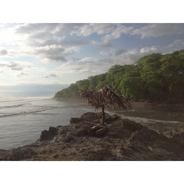 รูปถ่าย คอสตาริกา(Costa Rica) โดมินิกัล(Dominical) 2015-03 47