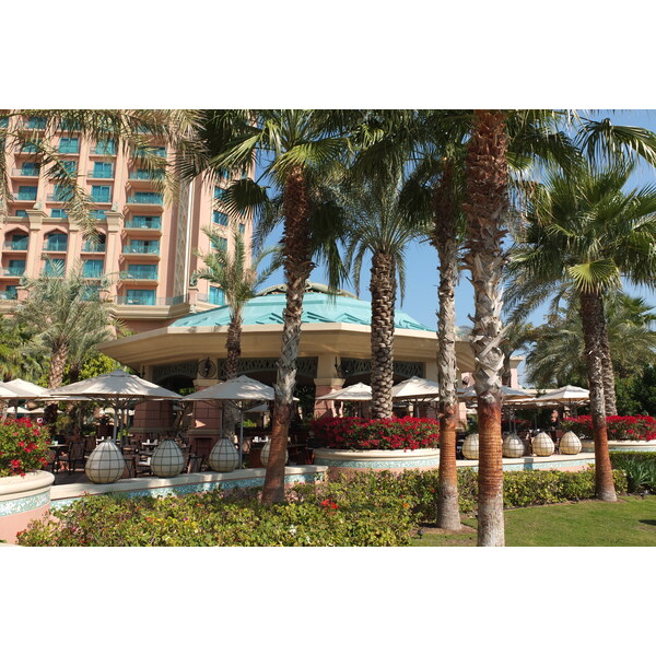 รูปถ่าย สหรัฐอาหรับเอมิเรตส์(United Arab Emirates) ดูไบ(Dubai) โรงแรมแอตแลนติส(Atlantis Hotel) 2014-02 195