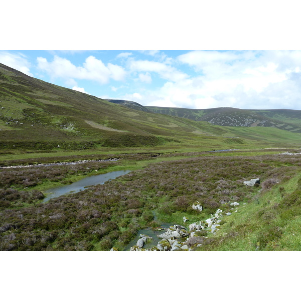 รูปถ่าย อังกฤษ(United Kingdom) อุทยานแห่งชาติแคร์นกอร์มส์(Cairngorms National Park) 2011-07 97
