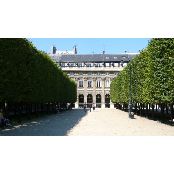 รูปถ่าย ฝรั่งเศส(France) ปารีส(Paris) พระราชวังปาแลรัวยาล(Palais Royal) 2007-08 95