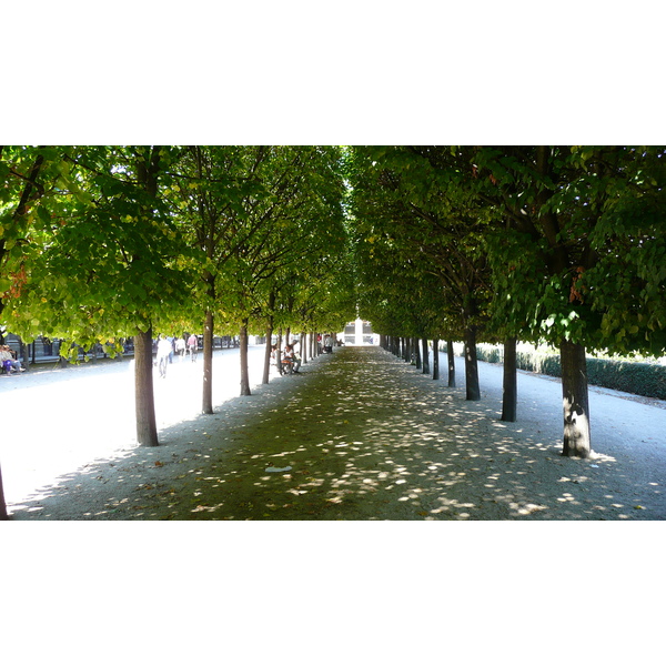 รูปถ่าย ฝรั่งเศส(France) ปารีส(Paris) พระราชวังปาแลรัวยาล(Palais Royal) 2007-08 63