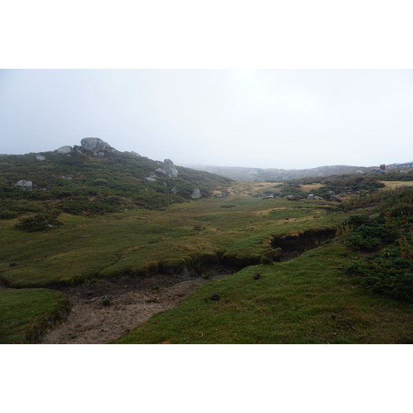 รูปถ่าย ฝรั่งเศส(France) คอร์สิคา(Corsica) อัลตาร็อกกา(Alta Rocca) 2017-09 31