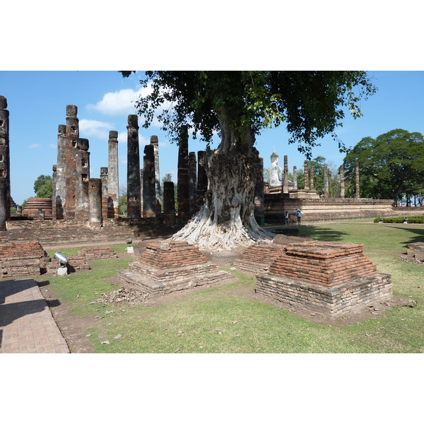 รูปถ่าย ไทย(Thailand) สุโขทัย(Sukhothai) 2010-12 26