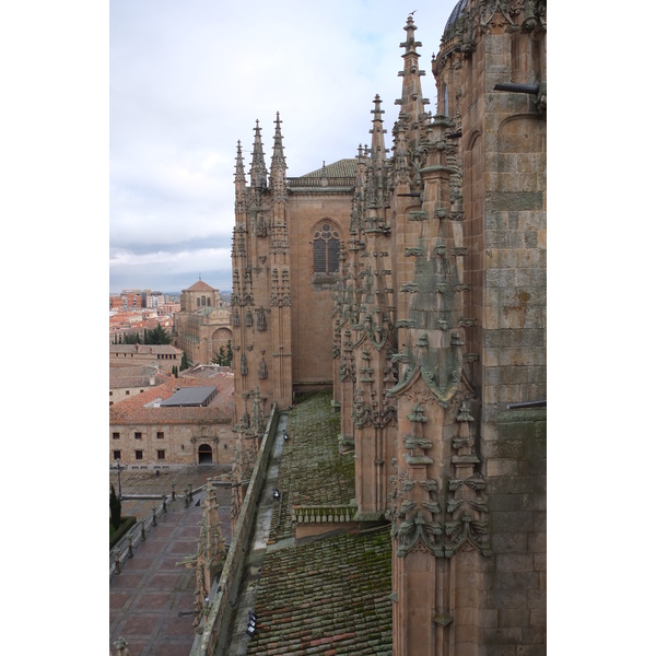 รูปถ่าย สเปน(Spain) ซาลามังกา(Salamanca) 2013-01 167