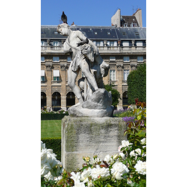 รูปถ่าย ฝรั่งเศส(France) ปารีส(Paris) พระราชวังปาแลรัวยาล(Palais Royal) 2007-08 49
