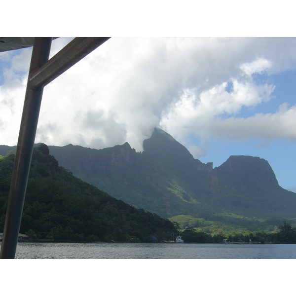 รูปถ่าย เฟรนช์โพลี่นีเซีย(Polynesia) มูเรีย(Moorea) 2006-04 155