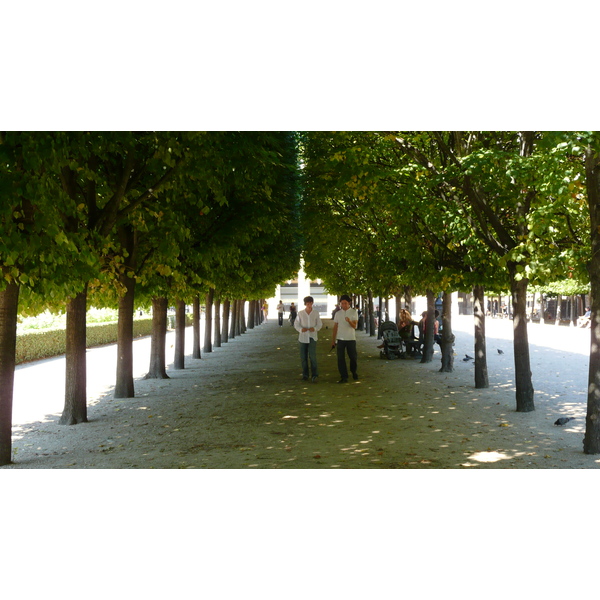 รูปถ่าย ฝรั่งเศส(France) ปารีส(Paris) พระราชวังปาแลรัวยาล(Palais Royal) 2007-08 22