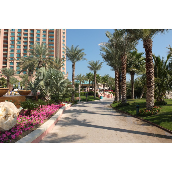 รูปถ่าย สหรัฐอาหรับเอมิเรตส์(United Arab Emirates) ดูไบ(Dubai) โรงแรมแอตแลนติส(Atlantis Hotel) 2014-02 212