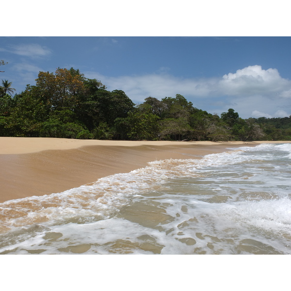 รูปถ่าย ปานามา(Panama) เกาะบาสติเมนโตส(Bastimentos) 2015-03 60