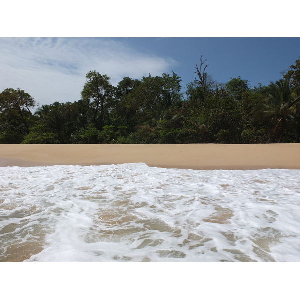รูปถ่าย ปานามา(Panama) เกาะบาสติเมนโตส(Bastimentos) 2015-03 62