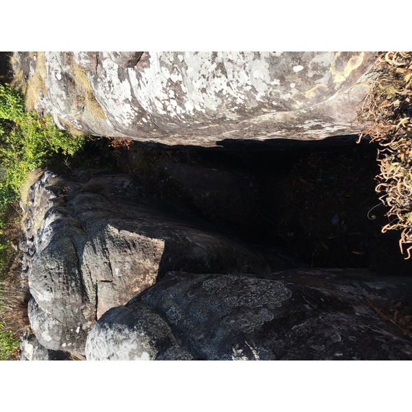 รูปถ่าย ไทย(Thailand) อุทยานแห่งชาติภูหินร่องกล้า(Phu Hin Rong Kla National Park) 2014-12 386