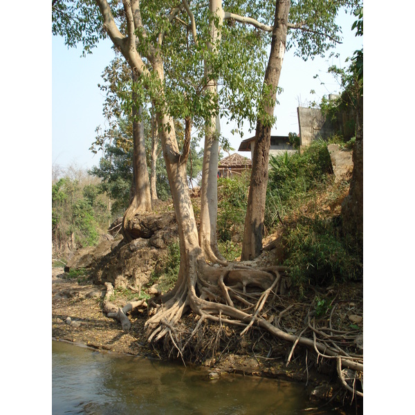 รูปถ่าย ไทย(Thailand) ปางมะผ้า(Pang Mapha) 2007-02 115
