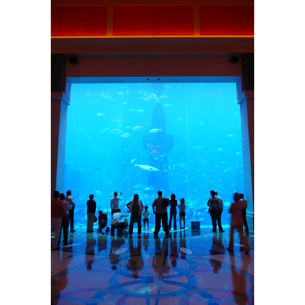 รูปถ่าย สหรัฐอาหรับเอมิเรตส์(United Arab Emirates) ดูไบ(Dubai) สวนน้ำอควาเวนเจอร์ ดูไบ(Dubai Aquaventure) 2009-01 51