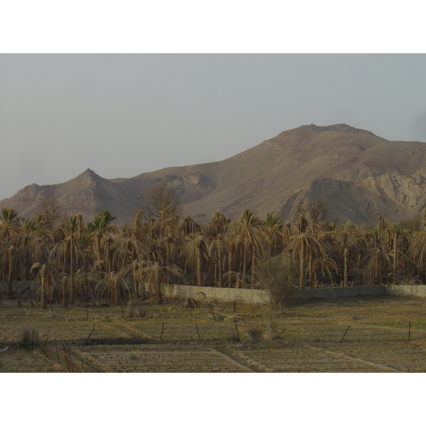 รูปถ่าย โอมาน(Oman) มาฮาดา(Mahada) 2005-03 4
