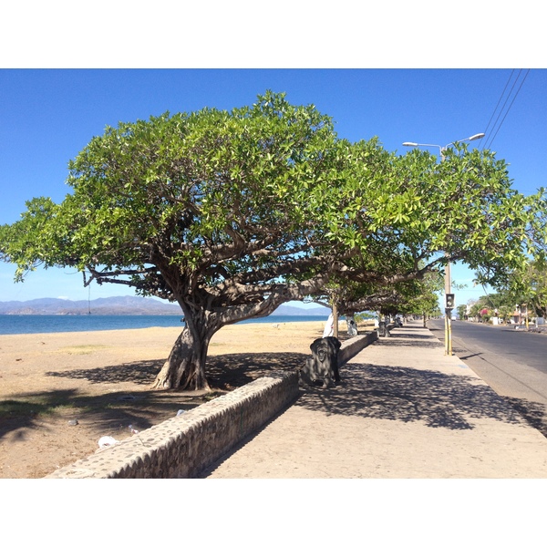 รูปถ่าย คอสตาริกา(Costa Rica) ปุนตาเรนัส(Puntarenas) 2015-03 111