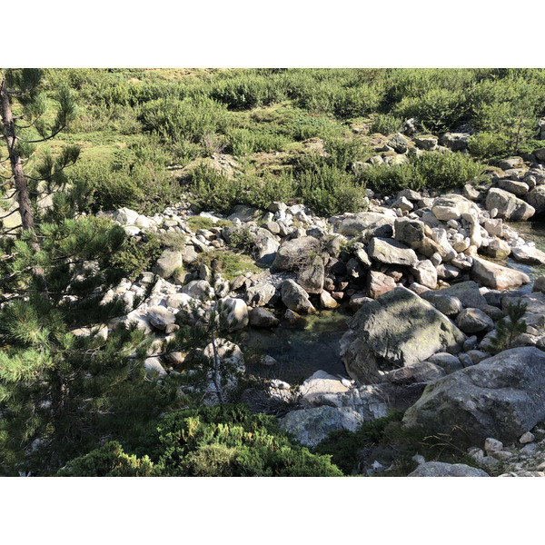 รูปถ่าย ฝรั่งเศส(France) คอร์สิคา(Corsica) หุบเขาลาเรสโตนีกา(La Restonica) 2020-07 129