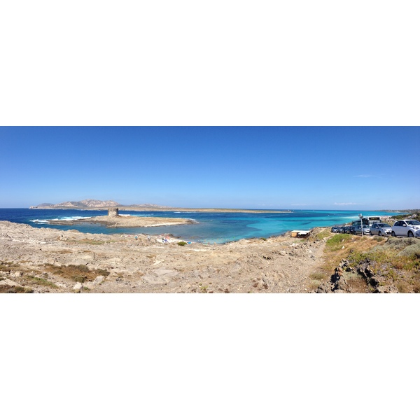 รูปถ่าย อิตาลี(Italy) ซาร์ดิเนีย(Sardinia) แหลมกาโปเดลฟัลโกเน(Capo del Falcone) 2015-06 53