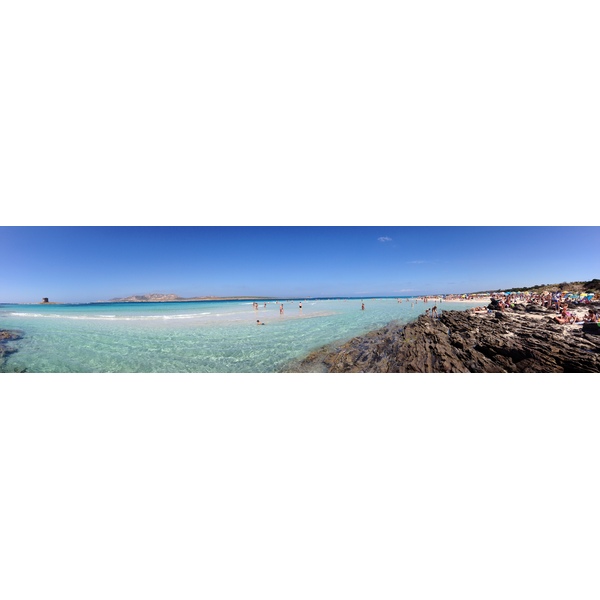 รูปถ่าย อิตาลี(Italy) ซาร์ดิเนีย(Sardinia) แหลมกาโปเดลฟัลโกเน(Capo del Falcone) 2015-06 60