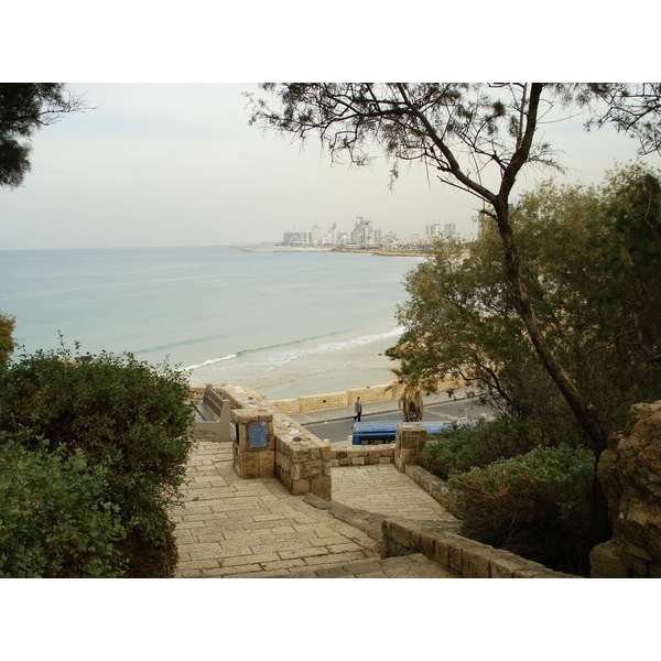 รูปถ่าย อิสราเอล(Israel) จาฟา(Jaffa) 2006-12 110