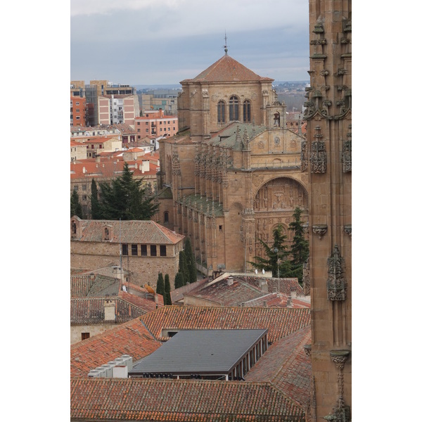 รูปถ่าย สเปน(Spain) ซาลามังกา(Salamanca) 2013-01 21
