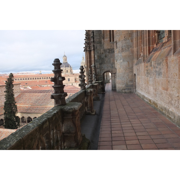 รูปถ่าย สเปน(Spain) ซาลามังกา(Salamanca) 2013-01 152