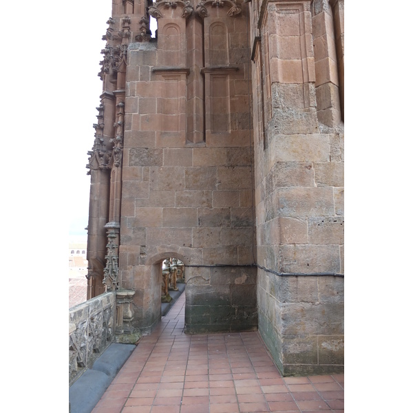 รูปถ่าย สเปน(Spain) ซาลามังกา(Salamanca) 2013-01 139