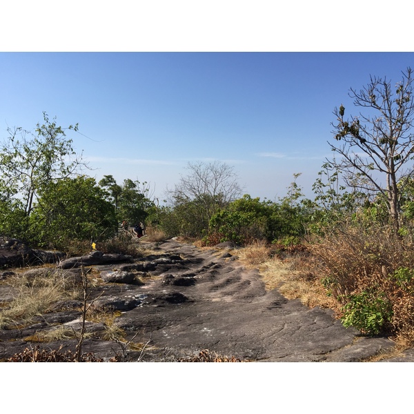 รูปถ่าย ไทย(Thailand) อุทยานแห่งชาติภูหินร่องกล้า(Phu Hin Rong Kla National Park) 2014-12 98