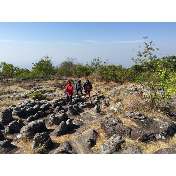 รูปถ่าย ไทย(Thailand) อุทยานแห่งชาติภูหินร่องกล้า(Phu Hin Rong Kla National Park) 2014-12 71