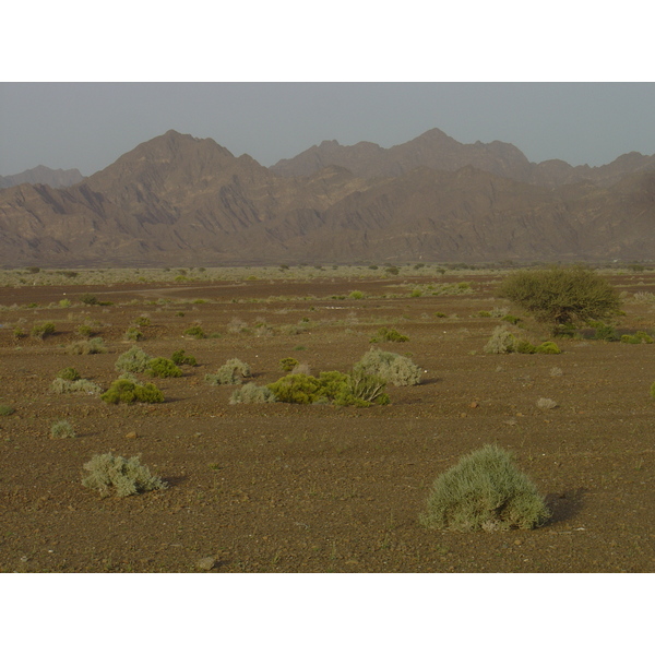 รูปถ่าย โอมาน(Oman) จากบูไมิไปถนนมาฮาดา(Buraimi to Mahada road) 2005-03 19
