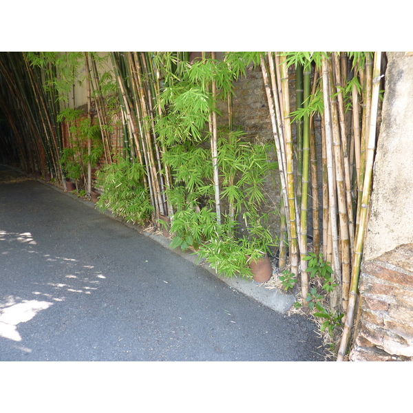 รูปถ่าย ไทย(Thailand) เชียงใหม่(Chiang Mai) ถนนราชดำเนิน(Rachadamnoen road) 2009-12 24