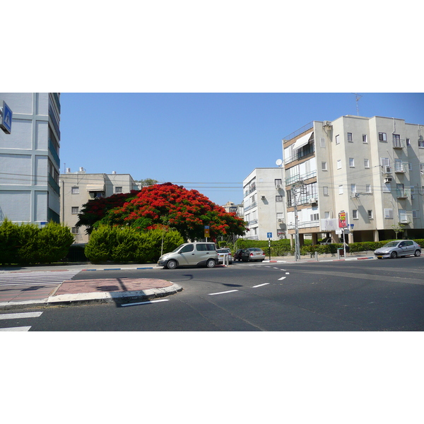 รูปถ่าย อิสราเอล(Israel) เทลอาวีฟ(Tel Aviv) ถนนจาบอตินสกี(Jabotinsky Street) 2007-06 9