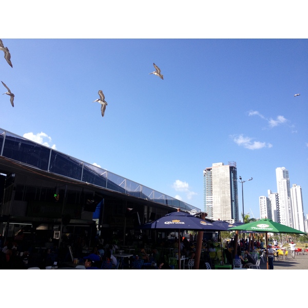 รูปถ่าย ปานามา(Panama) ปานามาซิตี(Panama City) 2015-03 226
