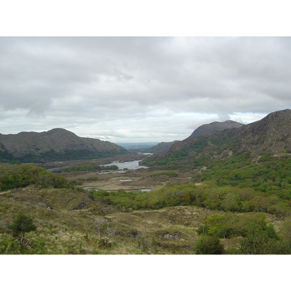 รูปถ่าย ไอร์แลนด์(Ireland) เคอร์รี่(Kerry) สวนสาธารณะคิลลาร์นีย์เนชั่นเนล(Killarney National Park) 2004-05 47