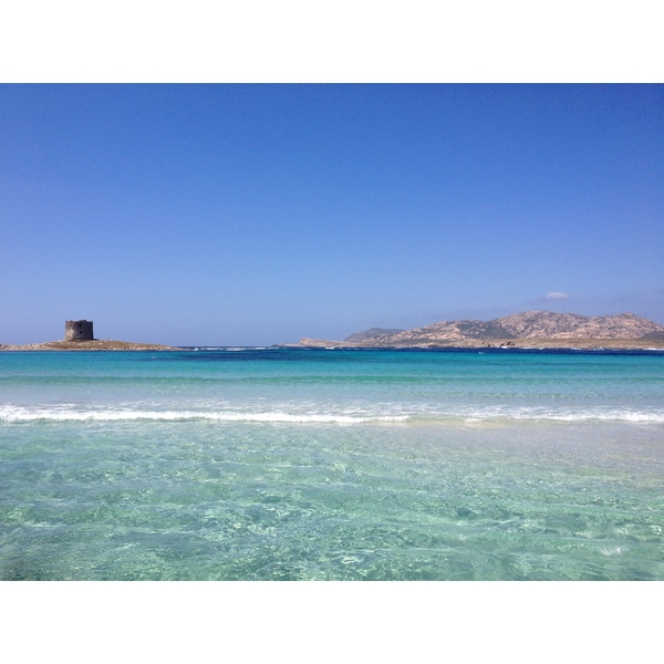 รูปถ่าย อิตาลี(Italy) ซาร์ดิเนีย(Sardinia) แหลมกาโปเดลฟัลโกเน(Capo del Falcone) 2015-06 9