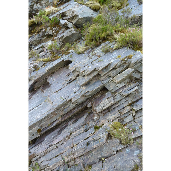 รูปถ่าย อังกฤษ(United Kingdom) เวสเตอร์รอสส์(Wester Ross) 2011-07 112