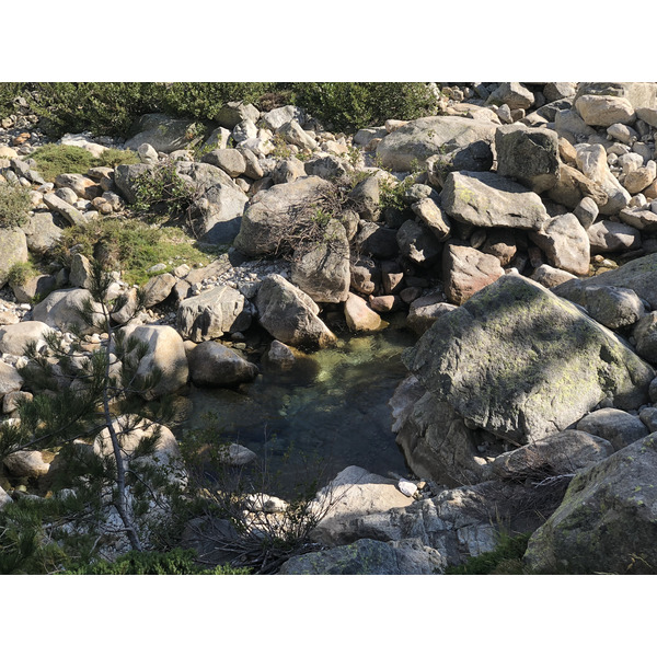 รูปถ่าย ฝรั่งเศส(France) คอร์สิคา(Corsica) หุบเขาลาเรสโตนีกา(La Restonica) 2020-07 107