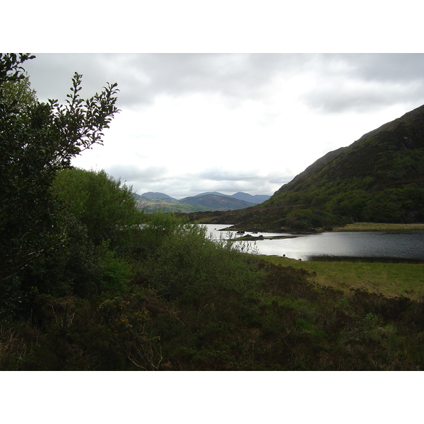 รูปถ่าย ไอร์แลนด์(Ireland) เคอร์รี่(Kerry) สวนสาธารณะคิลลาร์นีย์เนชั่นเนล(Killarney National Park) 2004-05 30