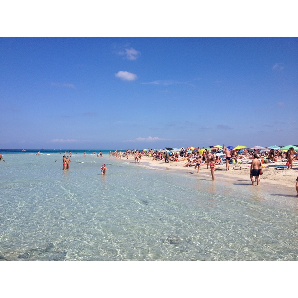 รูปถ่าย อิตาลี(Italy) ซาร์ดิเนีย(Sardinia) แหลมกาโปเดลฟัลโกเน(Capo del Falcone) 2015-06 62