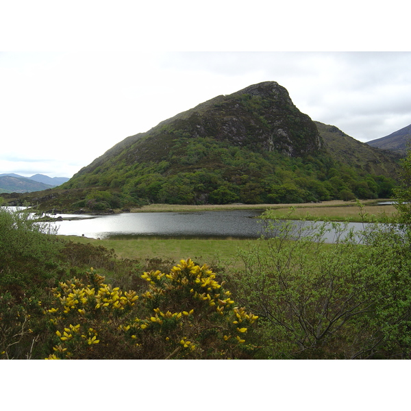 รูปถ่าย ไอร์แลนด์(Ireland) เคอร์รี่(Kerry) สวนสาธารณะคิลลาร์นีย์เนชั่นเนล(Killarney National Park) 2004-05 35