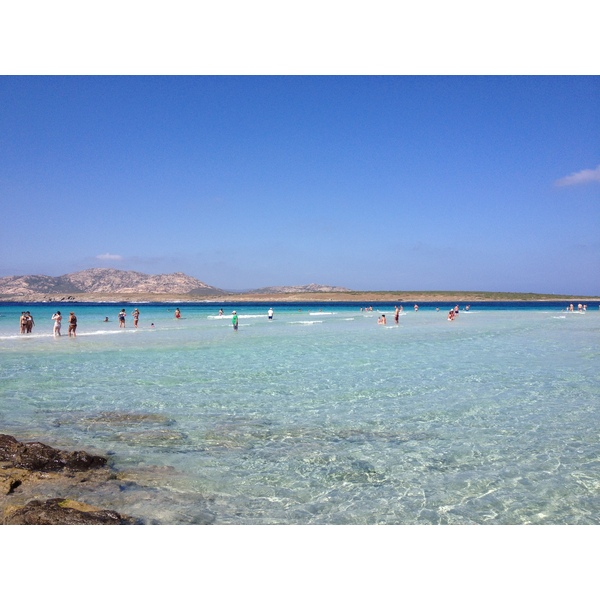 รูปถ่าย อิตาลี(Italy) ซาร์ดิเนีย(Sardinia) แหลมกาโปเดลฟัลโกเน(Capo del Falcone) 2015-06 51