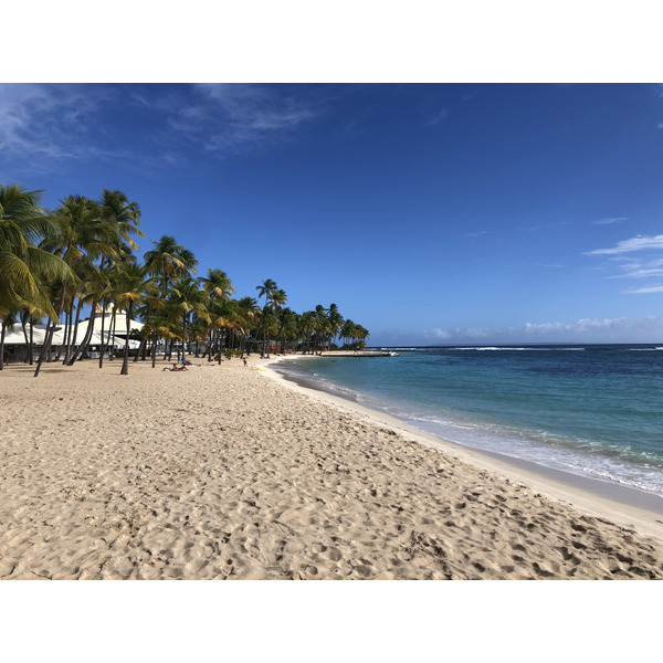 รูปถ่าย กวาเดอลูป(Guadeloupe) หาดลาการาแวล(La Caravelle Beach) 2021-02 30
