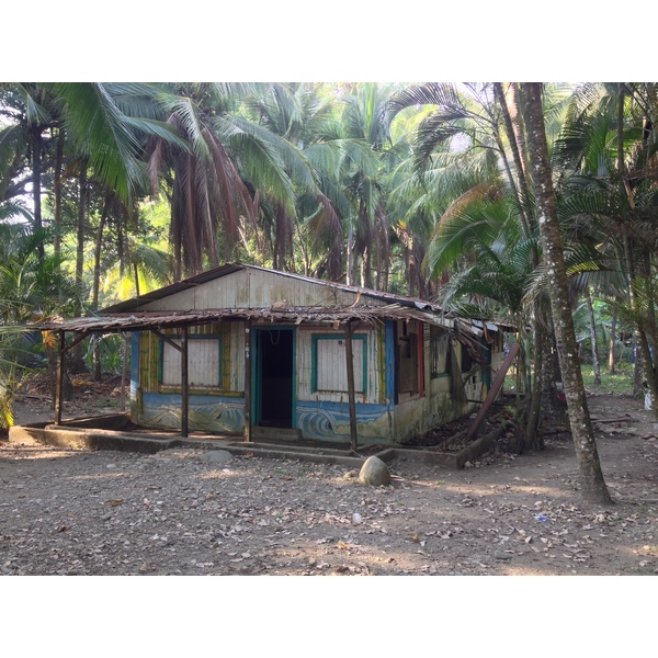 รูปถ่าย คอสตาริกา(Costa Rica) โดมินิกัล(Dominical) 2015-03 112