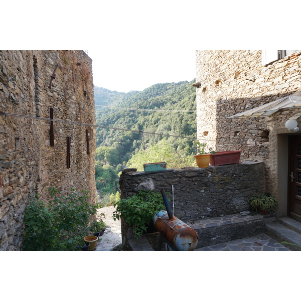 รูปถ่าย ฝรั่งเศส(France) คอร์สิคา(Corsica) เวสโกวาโต(Vescovato) 2017-09 20