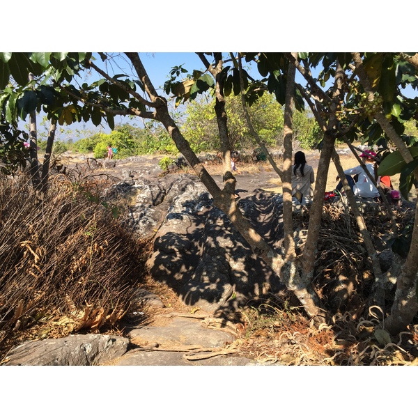 รูปถ่าย ไทย(Thailand) อุทยานแห่งชาติภูหินร่องกล้า(Phu Hin Rong Kla National Park) 2014-12 388