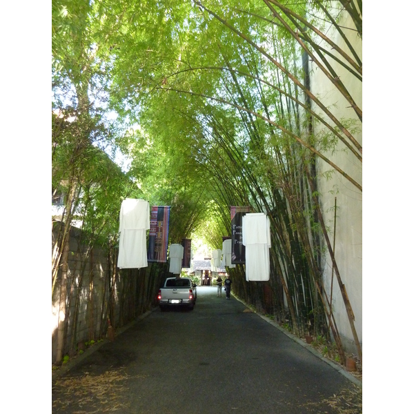 รูปถ่าย ไทย(Thailand) เชียงใหม่(Chiang Mai) ถนนราชดำเนิน(Rachadamnoen road) 2009-12 36