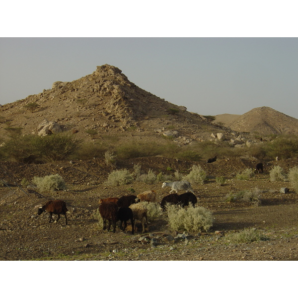 รูปถ่าย โอมาน(Oman) จากบูไมิไปถนนมาฮาดา(Buraimi to Mahada road) 2005-03 13