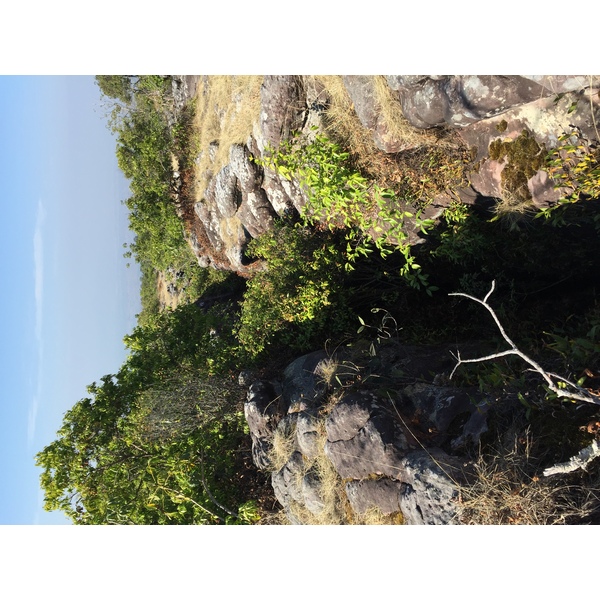 รูปถ่าย ไทย(Thailand) อุทยานแห่งชาติภูหินร่องกล้า(Phu Hin Rong Kla National Park) 2014-12 70