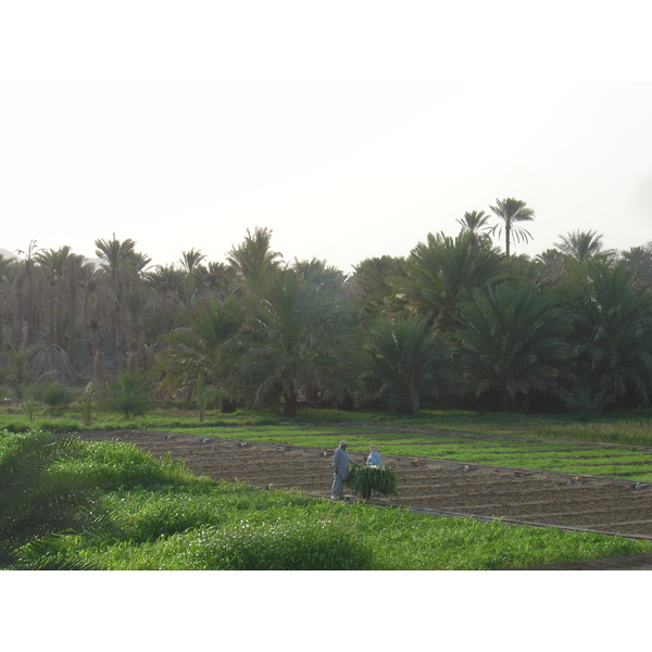 รูปถ่าย โอมาน(Oman) มาฮาดา(Mahada) 2005-03 3