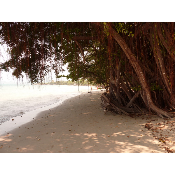 รูปถ่าย ไทย(Thailand) เกาะช้าง(Ko Chang) หาดคลองพร้าว(Klong Prao beach) 2011-02 102